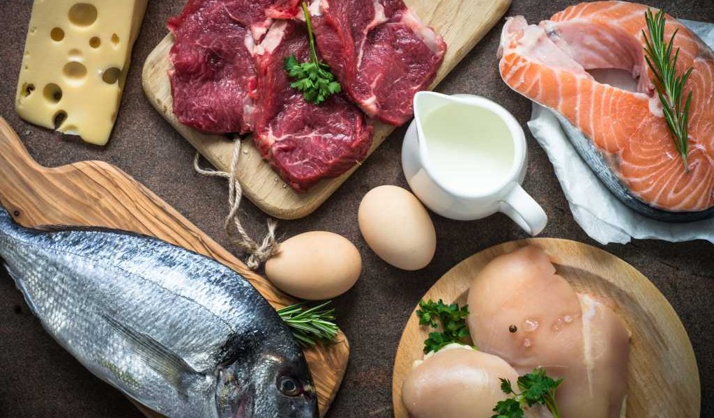 Protein Hewani