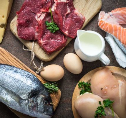 Protein Hewani