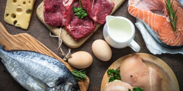 Protein Hewani